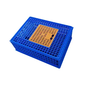 OEM रंग अनुकूलित टिकाऊ प्लास्टिक चिकन कॉप परिवहन पिंजरे बक्से