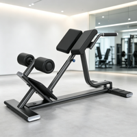 Banc d'hyperextension réglable 45 degrés, chaise romaine pour extensions dorsales, équipement de fitness pour renforcement du tronc à domicile