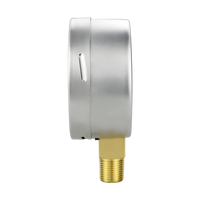 High-Sensitivity Bottom Vertical Connection Stainless Steel Capsule Pressure Gauge for Gas Pressure Measurement
