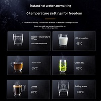 Distributeur d'eau potable mural pour la maison avec chauffage instantané électrique YC-001