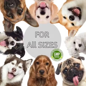 Suplemen hewan peliharaan organik dan vitamin pengobatan ragi alami tetes untuk anjing telinga anjing pengobatan infeksi Suplemen Herbal - Product Image 4