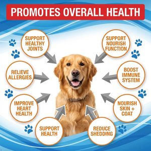 Huile de saumon OEM/ODM pour chiens et chats - Oméga 3 EPA DHA, complément liquide à base d'huile de poisson pour la santé de la peau et du pelage, des articulations et des os - Product Image 4
