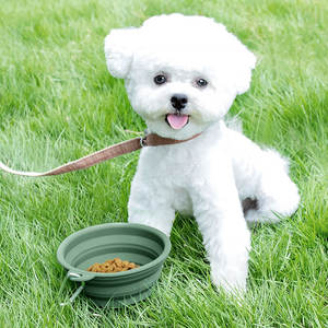 Ciotole per cani pieghevoli per esterni pieghevoli, - Product Image 2