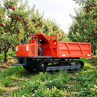 Minipala Cingolata da 2 Tonnellate con Motore Diesel e Sistema Idraulico per Uso Agricolo, Paddy e Fattorie, con Elevato Momento di Carico - Produzione Cinese
