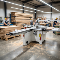 Scie à panneaux à table coulissante SEGA 350 de marque italienne, robuste, haute efficacité, pour la menuiserie et la fabrication de meubles
