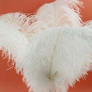Grandes <span class=keywords><strong>plumes</strong></span> <span class=keywords><strong>d</strong></span>'<span class=keywords><strong>autruche</strong></span> de festival de carnaval 40-80 <span class=keywords><strong>cm</strong></span> <span class=keywords><strong>Plumes</strong></span> <span class=keywords><strong>d</strong></span>'aile <span class=keywords><strong>d</strong></span>'<span class=keywords><strong>autruche</strong></span> blanches pour la <span class=keywords><strong>d</strong></span>écoration de fête de mariage - Product Image 1