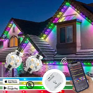 Luz LED de Navidad permanente para exteriores, luces de Gema UCS2904 WS2811