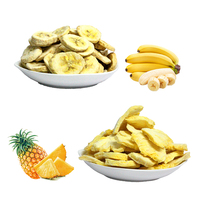 Hoogwaardig Gevriesdroogd Fruit Gemengde Bulkverpakkingen Fabrikant Ondersteunt Aangepaste Verpakking Fd Ondersteunt Enkele Selectie