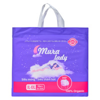 OEM Lady Menstruation Windeln für Frauen Höschen mit Einweg Damen binde trockene Oberfläche Unterwäsche Einweg Menstruation