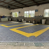 WPC Transparente Weiße Moderne Eislaufbahn-Bodenplatten für Eishockey-Sportplätze im Freien