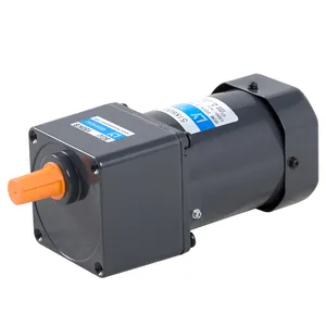 low rpm Induction motor for mixing machines motor 25W 40W 60W