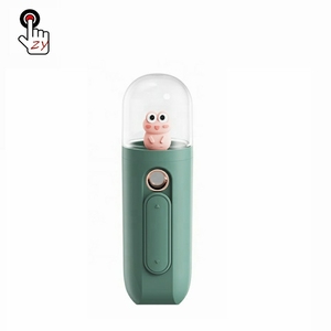 Mini Portable Pocket Handy Ion Disinfect Face Vapor Face Steamer Facial Nano Mist Sprayer