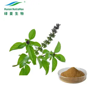 Factory Supply High Quality Top Grade Holy Basil Leaf Extract Powder