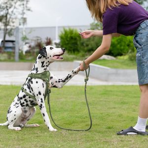 Nylon Rope Long <b>Dog</b> <b>Leash</b> with Swivel Lockable Hook Handle Climbing Rope Braided <b>Dog</b> <b>Leash</b> for Small Medium Large <b>Dogs</b> - Product Image 6