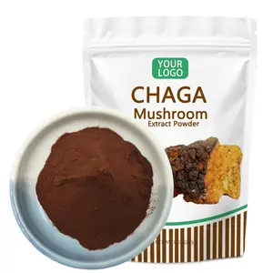 Private Label 30% polisaccaride Chaga estratto in polvere organico Chaga fungo in polvere