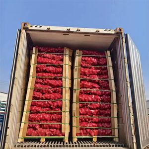 Trung Quốc bán buôn tím đỏ Hành Tây Sơn Đông vòng từ Trung Quốc hành tây Nhà cung cấp giá cebolla Vàng hành tây oignon - Product Image 6