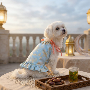 Robe pour animaux de compagnie à motif dentelle, robe fine romantique pour petits chiens, protection solaire printemps/été - Product Image 1