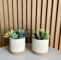 Vaso para plantas do amazon, vaso para plantas com coloração criativa