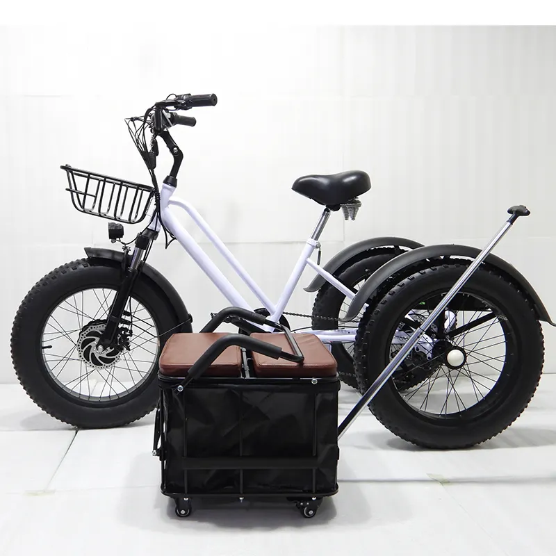 Bicicleta eléctrica de tres ruedas y neumáticos anchos para adulto, triciclo de carga, disponible