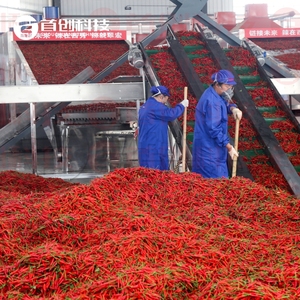 Công nghiệp khô Ớt hạt tiêu sấy dây chuyền chế biến với lưới vành đai máy sấy Ớt cuống cắt và hạt giống Loại bỏ máy - Product Image 3