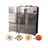 Automatische Roestvrijstalen Mini Droger Dehydrator Voor Familie Gezonde Kopra Citroen Banaan Tomaat Fruit Drogen Plc Tandwielkern