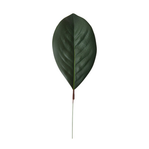Feuilles de Magnolia Artificielles Laixing 30cm-190cm en PVC Souple pour Décoration de Mariage et d'Hôtel - Product Image 5