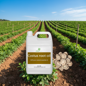 <span class=keywords><strong>Huile</strong></span> <span class=keywords><strong>Essentielle</strong></span> Pure et Naturelle à 100% de Racine de Costus d'Inde en Gros - Fournisseur d'Huiles Essentielles en Vrac - Product Image 1