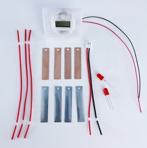 Kit d'expérimentation <span class=keywords><strong>scientifique</strong></span> DIY : Horloge électronique en plastique en forme de fruit, projet STEM pour l'école, <span class=keywords><strong>expérience</strong></span> de batterie de fruit, kit d'éducation physique pour étudiants, âges 5-13 ans - Product Image 1