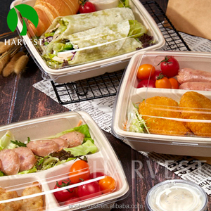 Emballage alimentaire biodégradable écologique durable de 8 pouces carrés avec couvercle, marque Harvest, série CS - Product Image 5
