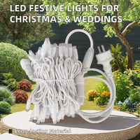 Guirlande Lumineuse LED Professionnelle pour Noël 2025 – Dernières Tendances pour Fêtes en Extérieur et Mariages – Indice de Protection IP65