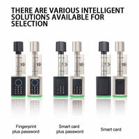 Serrure de porte intelligente professionnelle avec lecteur de carte RFID, empreintes digitales et WiFi pour porte en bois ou en alliage d'aluminium