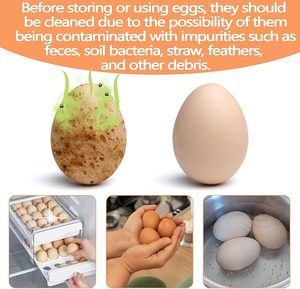 <b>Silicone</b> Egg Brush Cleaner Egg Washer Cleaning Brush for Fresh Eggs - Product Image 4