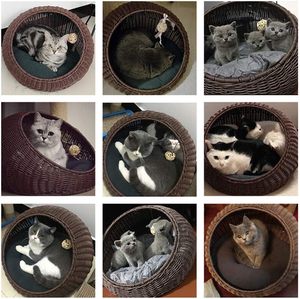 Handmade Natural Woven Wicker Rattan Pet <strong>Dog</strong> Cat <strong>Bed</strong> Nest Sleeping House Baskets with Cushion for Cat Kitten All Seasons - Product Image 6