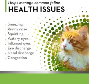 Poudre de L-Lysine pour chats en marque propre, soutien immunitaire, complément respiratoire, aide à la toux, au nez qui coule, à la fonction oculaire - Product Image 3