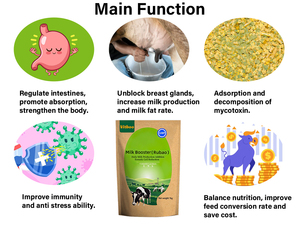 Bovins moutons vache additifs alimentaires Haute efficacite 1kg hỗn hợp 500kg thức ăn động vật additifs alimentaires concentres - Product Image 3