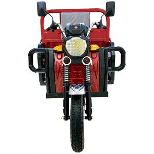 New Arrival 48V <strong>Kawasaki</strong> Jxl Jxing Electric Jp Jongshen <strong>Tricycle</strong> Bicycle for Adult - Product Image 3