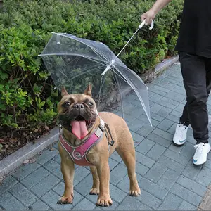 Yürüyüş yağmur geçirmez Pet köpek koruyucu şemsiye tasma tutucu ile küçük evcil köpekler için şeffaf yağmur şemsiye