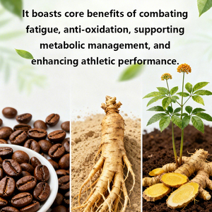 Extrait de café <span class=keywords><strong>naturel</strong></span>, supplément énergétique oral à base de plantes, bandelettes orales dissolvables à la caféine avec extrait de ginseng et de Polygonatum - Product Image 4