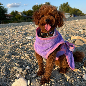 Albornoz de Bambú para Perros, Listo para Enviar, de Una Sola Capa, Súper Absorbente, Ecológico, para Secar Mascotas Después del Baño - Product Image 3