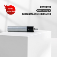 Moteur CC sans balais 48V à couple élevé, vitesse personnalisée 100 tr/min, certification CE Rohs, micromoteur de laboratoire dentaire durable 5W