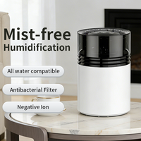 Mini humidificateur de bureau à ions négatifs avec humidistat, rechargeable par USB, portable pour usage domestique, chambre, salon, bureau