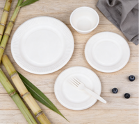 Sac en fibre de bagasse de canne à sucre biodégradable Eco Earth, 100 % écologique, personnalisable, jetable, vente en gros pour usines