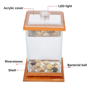 Uniek Ronddraaiend 360 Graden <span class=keywords><strong>Aquarium</strong></span> Met Glazen Vierkante Pot-Klein Betta <span class=keywords><strong>Aquarium</strong></span> <span class=keywords><strong>Aquarium</strong></span> Voor Thuiskantoordecoratie - Product Image 4