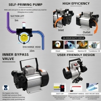 Pompa Transfer Bahan Bakar Listrik Tugas Berat 110V 220V Tegangan Ganda Diesel Kerosin 55L/M untuk Penggunaan Tangki Penyimpanan Traktor Pertanian