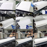 Film DTF à prix compétitif, 60 cm de large, double face, PET, décollement à chaud, couleurs vives, A3/A4, pour impression textile et transfert thermique par sublimation