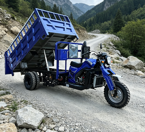 Tricycle à essence à trois roues pour le commerce extérieur, véhicule agricole spécial à trois bungees pour le transport de marchandises et la livraison à domicile - Product Image 3