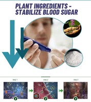 Soins de santé pour Winstown Tang Niaokang Soft Capsules Regimen Naturellement Santé Pilules Immunitaire Booster Fitness Pilule Energy-Boosting