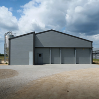 Poulailler économique moderne en structure acier, hangar préfabriqué pour bétail, élevage avicole à grande échelle, haute résistance, galvanisé à chaud