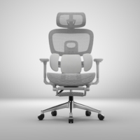Chaise de bureau ergonomique moderne et confortable, chaise de direction grise entièrement en mesh pour bureau, Sillas De Oficina, fauteuil inclinable avec repose-pieds