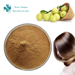 Polvo de Fruta Amla Orgánico Puro al por Mayor, Extracto de Amla (Grosella India) para el Crecimiento del Cabello - Product Image 2
